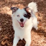 Addy 🤍 & Blue 💙 - @addy.and.blue - Instagram