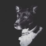 Addy Blue - @addysdaddies - Instagram