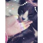 Addy Castillo - @diana.evans.12576 - Instagram