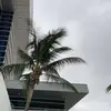 adebalogun82 - @adebalogun82 - TikTok