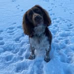 Adele Farquhar - @adelefarquhar - Instagram