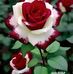 Ade Galvan - Facebook