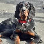 Ade Gordon - @ade.gordon - Instagram