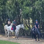 jadè - @jade_harvey__equestrian_2011 - Instagram