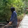 Ade Ibrahim - @ade.ibrahim5 - TikTok