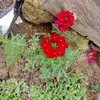 Ade M - @ademartinez519 - TikTok