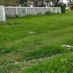 Adenelson Machado - @adenelsonmachado - Instagram
