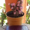 Ade Ruiz - @ade.ruiz5 - TikTok