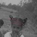 Ades Stefill - Facebook