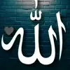 💖 Allah ho Akbar 💖 - @adeelali9095 - TikTok