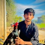 Adeel Ashraf - Facebook