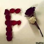 Adeel Aziz - @adeel3981 - Instagram