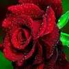 Adeel Khawar - @adeelkhawar007 - TikTok