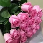 adeel sajjad - @adeelsajjad56 - Instagram