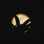 Adeel Sajjad - @iadeelsajjad - Instagram