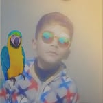 Adeel Sarwar Adeel Sarwar - @adeelsarwaradeelsarwar - Instagram