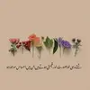 Pind alay - @adeelsarwar663 - TikTok
