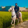 عدیل حیدر شاہ 🐎 - @adeelshah_512 - TikTok