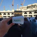 Adeel Shah - @adeel._shah - Instagram