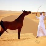 عادل الشيباني - @adel_alotibi13 - Instagram