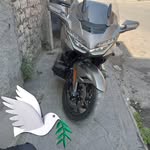 Adel Bazar - @adelbazar3 - Instagram