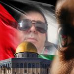 Adel Bedoui - @adel.bedoui - Instagram