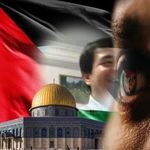 Adel Bedoui - @adelbedouiteboulba - Instagram