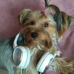 ADEL_BEST - @adel_best5 - Instagram