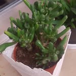 Adelbest_ - @adelbest_1 - Instagram
