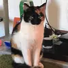 Its me - @adela.buzali - TikTok