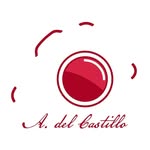 A. del Castillo - @adelcastillo306 - Instagram