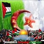 Adel Chaouch - @adel.chaouch - Instagram