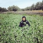 Adel Chebbi - @chebbi7396 - Instagram