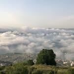 Adel Chehade - @adelchehade415 - Instagram