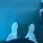 Adel Daoud - @dael_kaio - Instagram