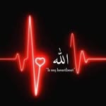 Adel Daoud - @daoud_adel - Instagram