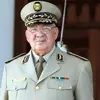 adeldriss67 - @adeldriss67 - TikTok