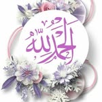 Adel Elshazly - @adelelshazly00 - Instagram