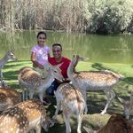 Adel Eskander - @adel.eskandar - Instagram