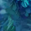 adelfam72 - @adelfam72 - TikTok