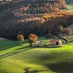 Adel Faraj - @adel.faraj.73 - Instagram