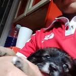 Adel Flores - @adelflores38 - Instagram