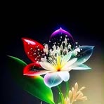 Adel Flores - Facebook
