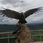 Adel Flores - @adelflores411 - Instagram