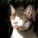 Adel Fuentes - Facebook