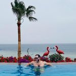 Amr Adel Gaafar - @amr_adel_gaafar - Instagram