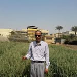 Adel Gad - @aabdurrady - Instagram
