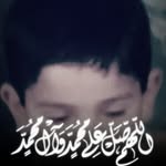 Adel Gasmi - @85gasmi.adel - Instagram