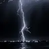 adel gasmi - @adel.gasmi7 - TikTok