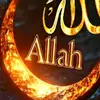 Adel gasmi - @adel.gasmi169 - TikTok
